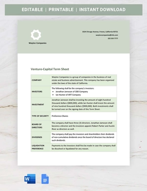 Venture-Capital Term Sheet Template
