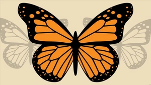 Butterfly Desktop Background