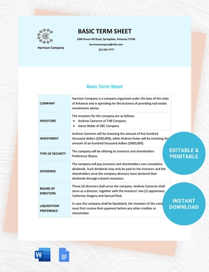 Basic Term Sheet Template