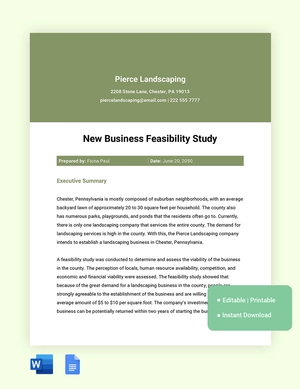 New Business Feasibility Study Template