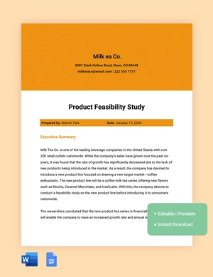 Product Feasibility Study Template