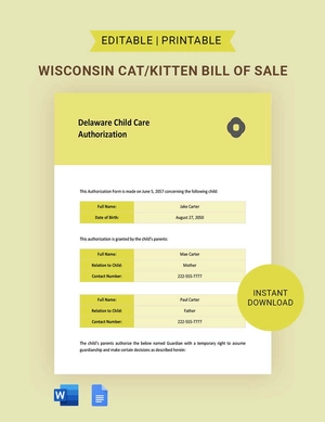 Delaware Child Care Authorization Template