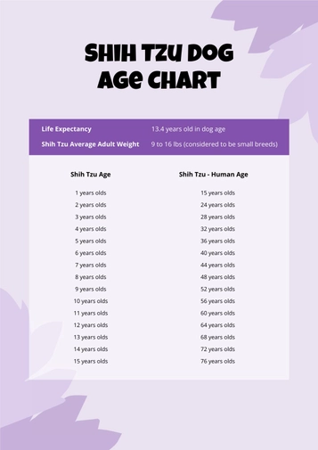 Shih Tzu Dog Age Chart