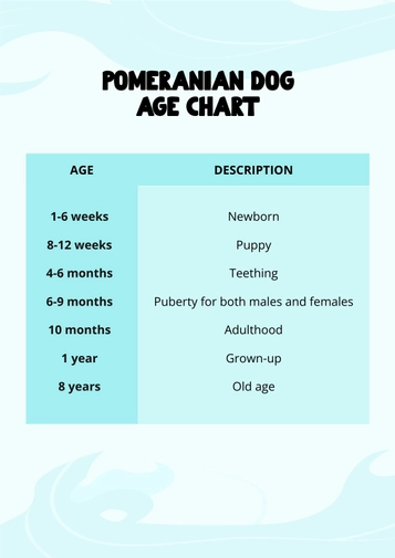 Pomeranian Dog Age Chart