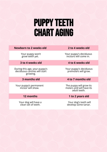 Puppy Teeth Chart Aging