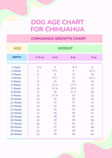 Dog Age Chart For Chihuahua