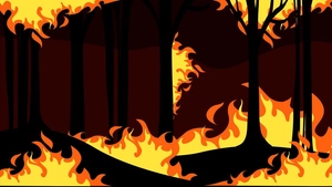 Forest On Fire Background