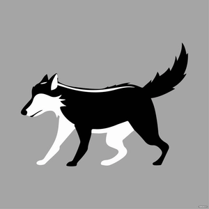 Black And White Wolf clipart