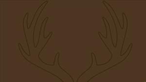 Solid Brown Background