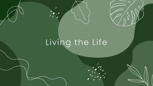 Dark Green Boho Wallpaper