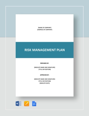Risk Management Plan
