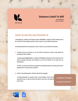 Delaware Codicil To Will Template
