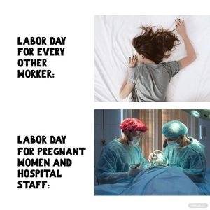 Funny Labor Day Meme