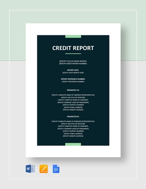 Credit Report Template