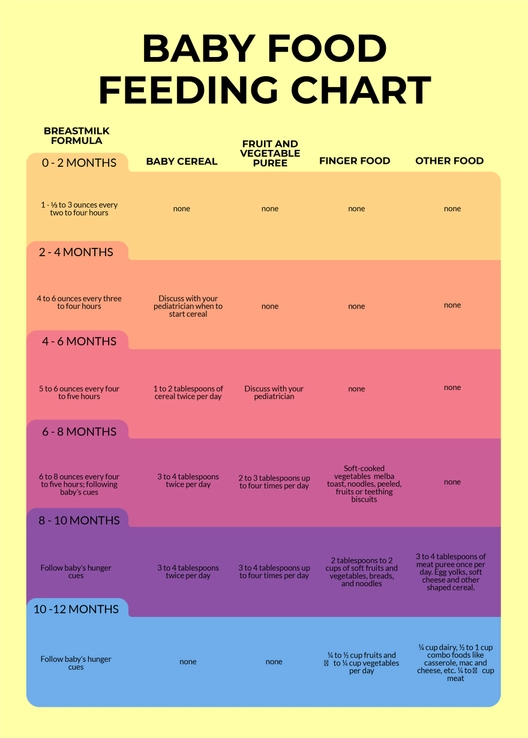 Baby Food Feeding Chart