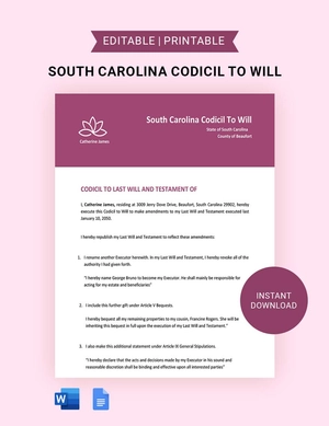 South Carolina Codicil To Will Template