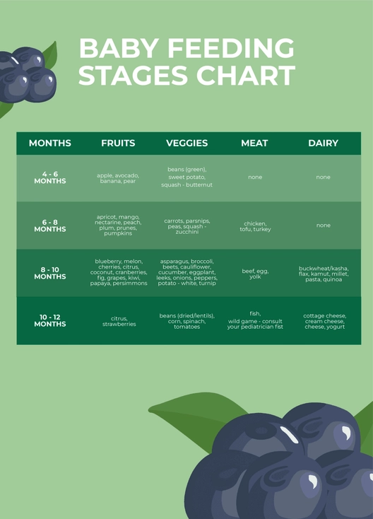 Baby Feeding Stages Chart