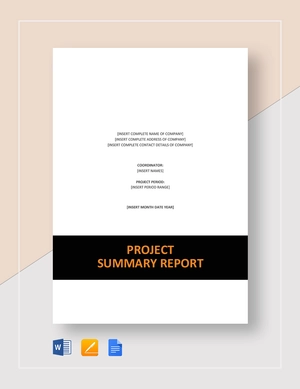 Project Summary Report Template Project Summary Report Template