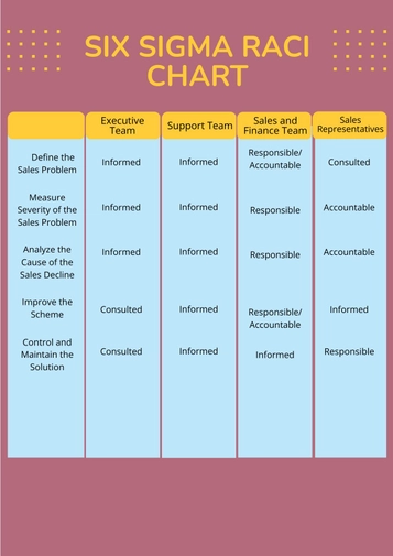 Six Sigma RACI Chart
