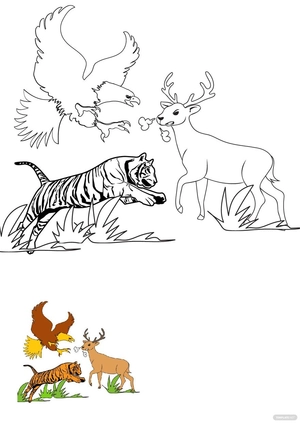Forest Animals Coloring Pages