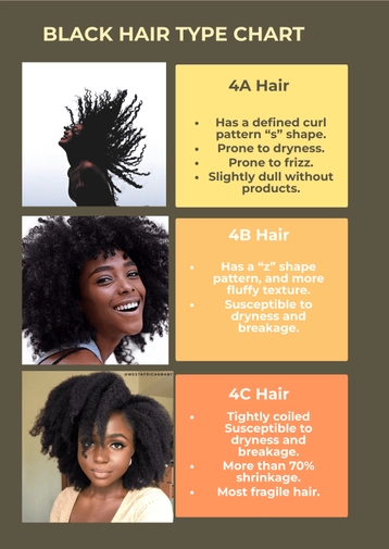 Black Hair Type Chart Black Hair Type Chart