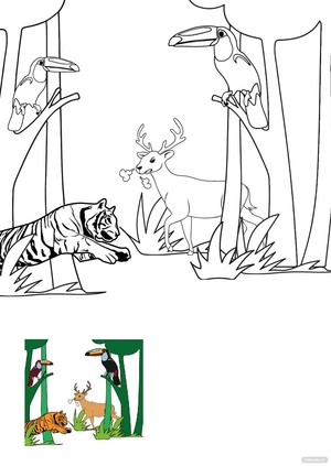 Rainforest Animals Coloring Pages