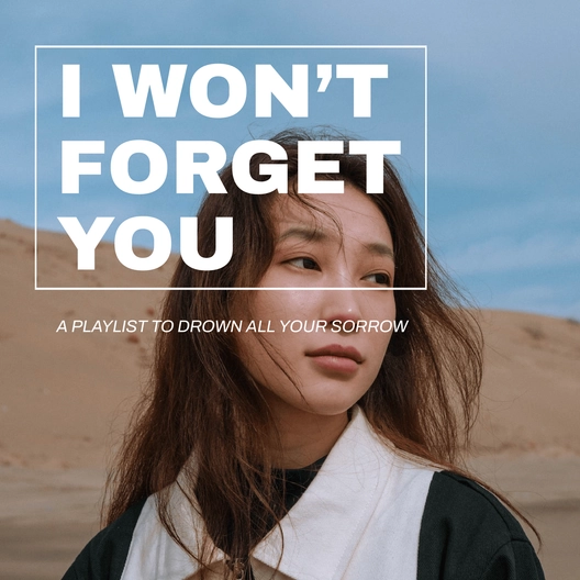 Sad Aesthetic Playlist Cover