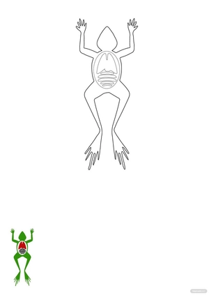 Free Animal Anatomy Coloring Pages Template to Edit Online