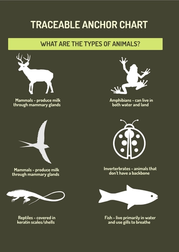 Traceable Anchor Chart