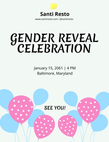 Gender Reveal Celebration Flyer