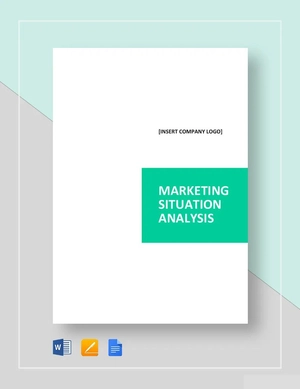 Sample Marketing Situation Analysis Template