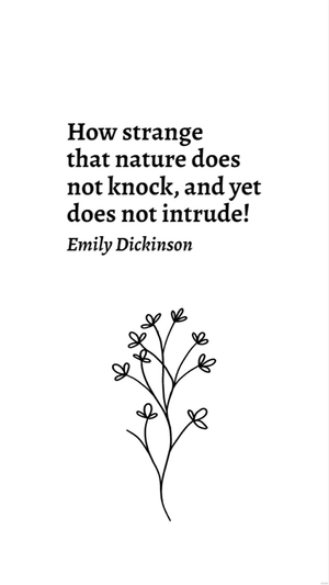 Emily Dickinson - How strange that nature does not knock, and yet does not intrude!