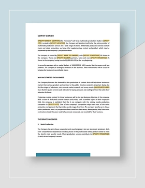 Business Investment Plan Template Business Investment Plan Template