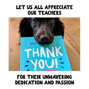 Free Teacher's Appreciation Meme Template to Edit Online