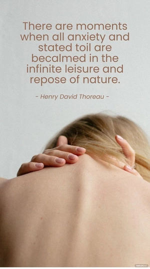 Henry David Thoreau - There are moments when all anxiety and stated toil are becalmed in the infinite leisure and repose of nature.