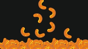 Junk Food Background