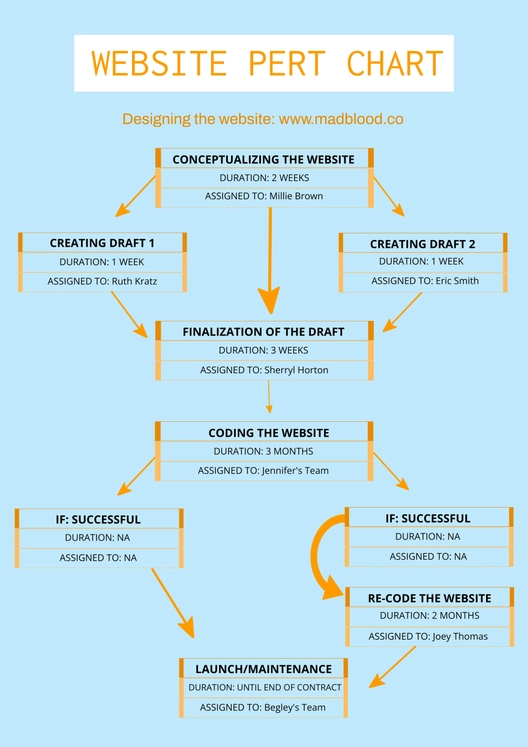 Web Site PERT Chart