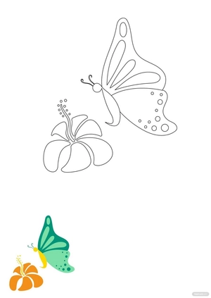 Flower Butterfly Coloring Pages