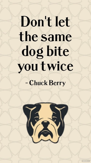 Chuck Berry - Don't let the same dog bite you twice