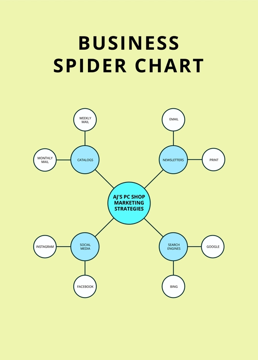 Business Spider Chart