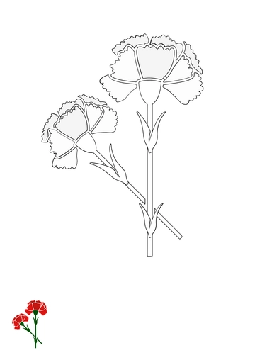 Free Carnation Flowers Coloring Page Template to Edit Online