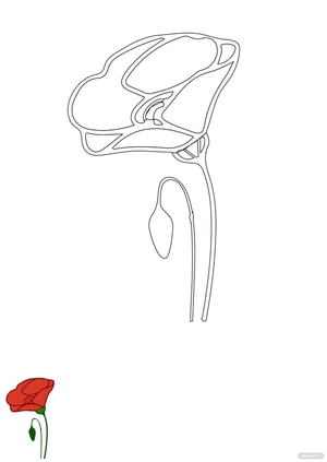 Poppy Flower Coloring Page