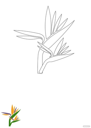 Tropical Flower Coloring Page