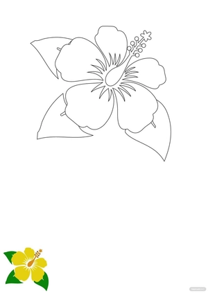 Hibiscus Flower Coloring Page