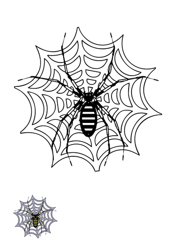 Free Spider Web Coloring Page Template to Edit Online