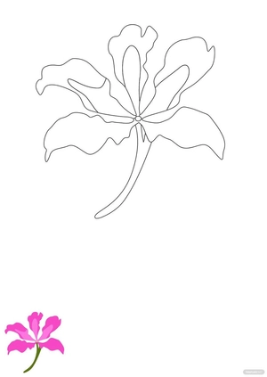 Chinese Flower Coloring Page