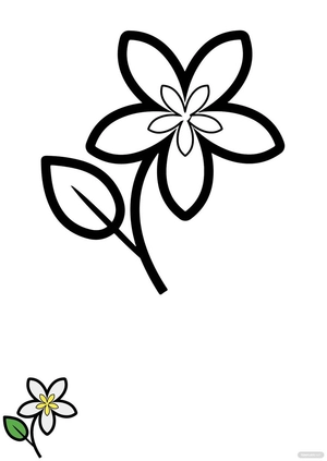 Jasmine Flower Coloring Page