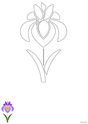 Iris Flower Coloring Page