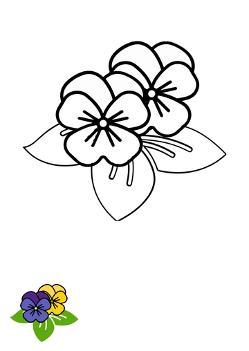 Free Pansy Flowers Coloring Page Template to Edit Online