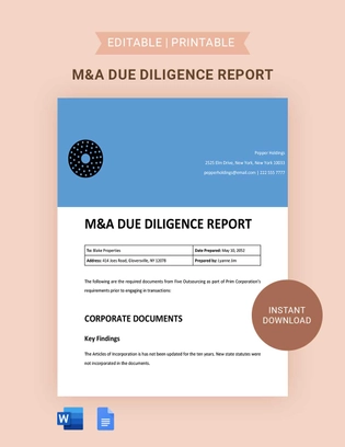 M&A Due Diligence Report